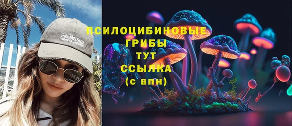 стафф Алзамай