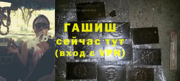 стафф Алзамай