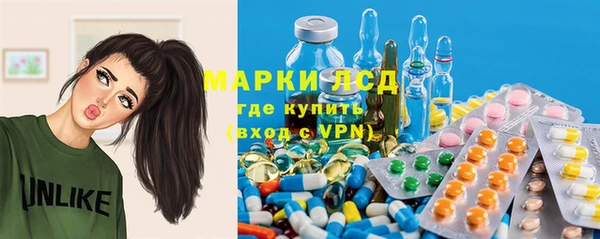 стафф Алзамай