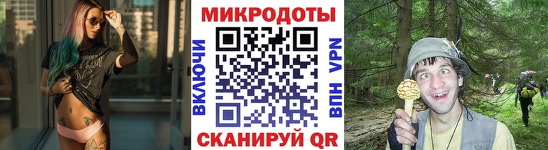 как найти наркотики  Добрянка  Псилоцибиновые грибы мицелий 