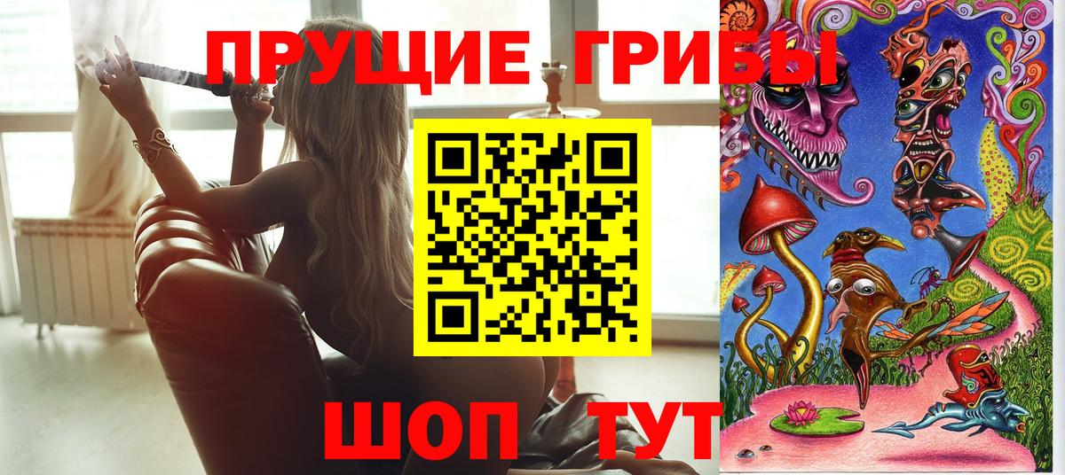 Галлюциногенные грибы Psilocybe  Вход с VPN  Добрянка 