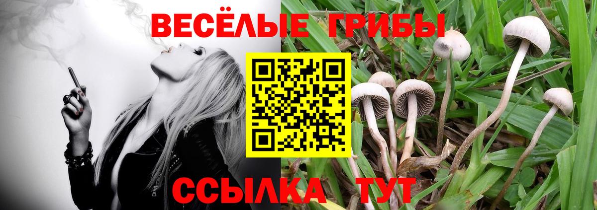 Галлюциногенные грибы мицелий Добрянка