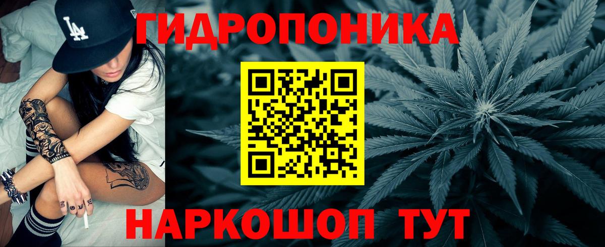 Бошки Шишки планчик  Вход с VPN  Каннабис конопля  Канабис THC 21%  Добрянка 